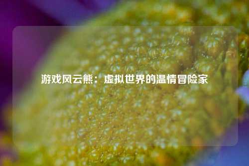 游戏风云熊：虚拟世界的温情冒险家