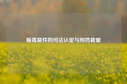 贩毒案件的司法认定与刑罚裁量