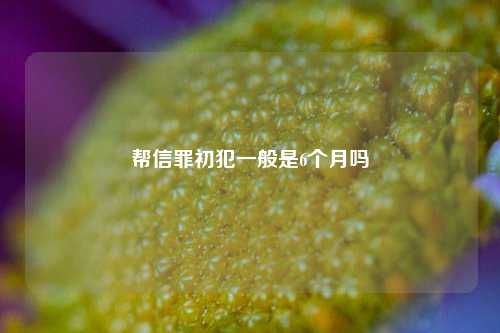 帮信罪初犯一般是6个月吗