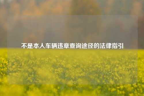 不是本人车辆违章查询途径的法律指引
