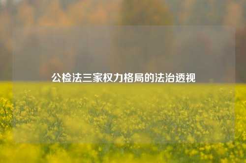 公检法三家权力格局的法治透视