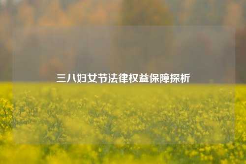 三八妇女节法律权益保障探析
