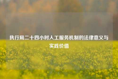 执行局二十四小时人工服务机制的法律意义与实践价值
