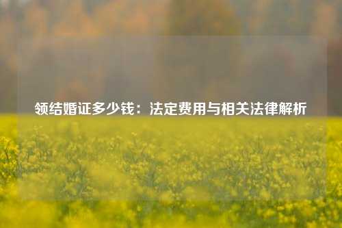 领结婚证多少钱：法定费用与相关法律解析