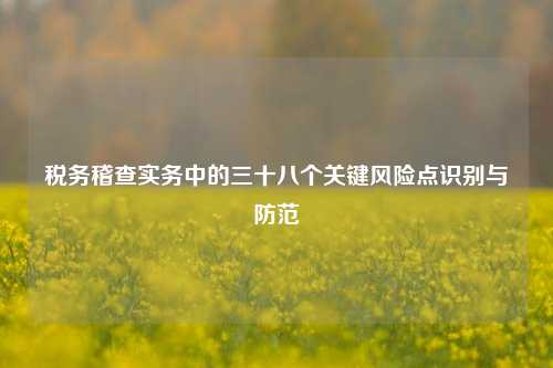 税务稽查实务中的三十八个关键风险点识别与防范
